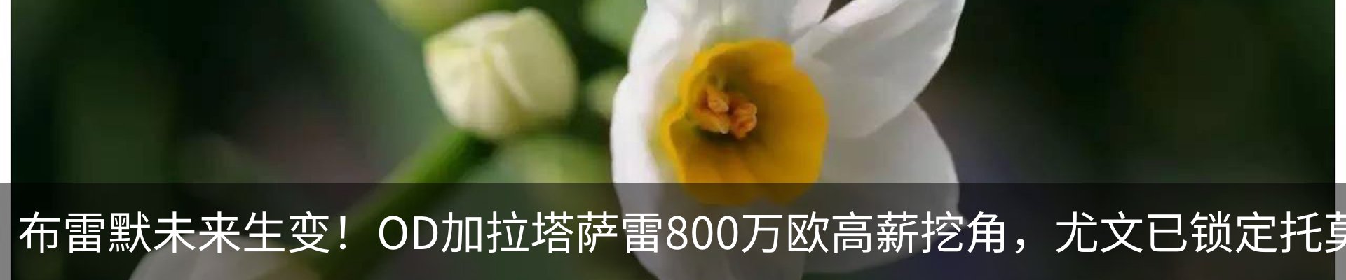 资讯动态
