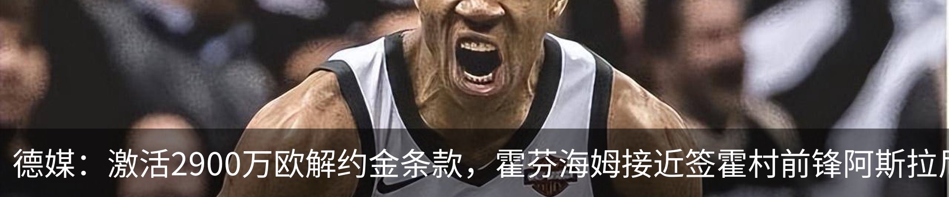资讯动态